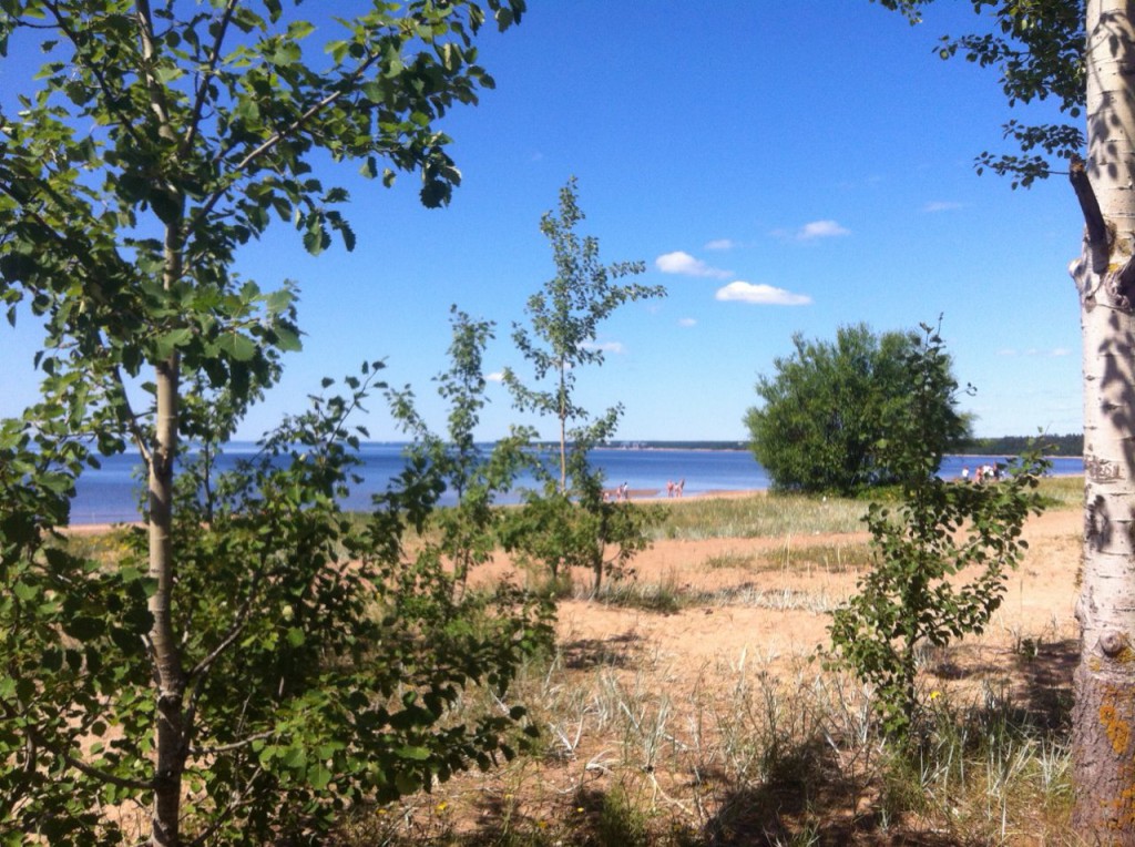 IMG_2015-07-09 00:34:07