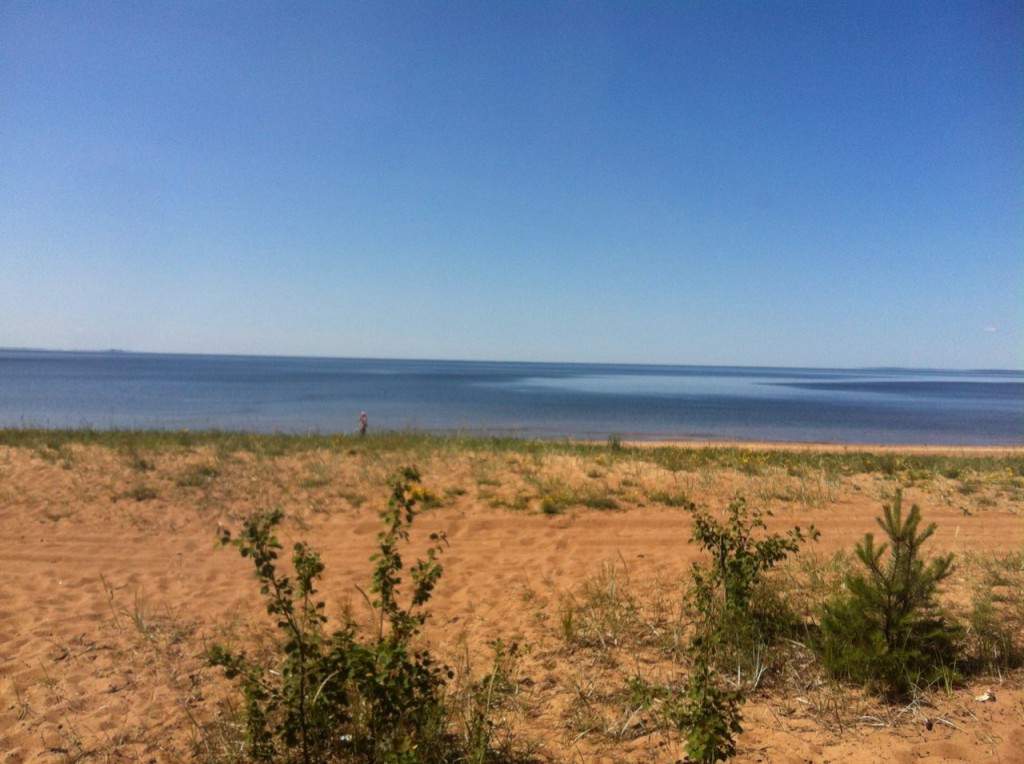 IMG_2015-07-09 00:34:11