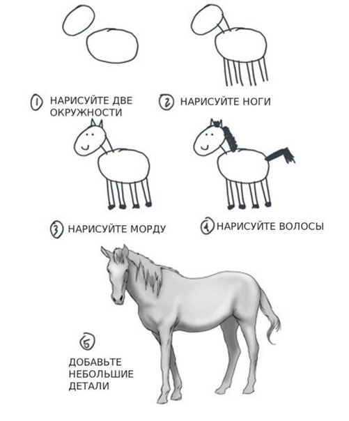 how to draw horse