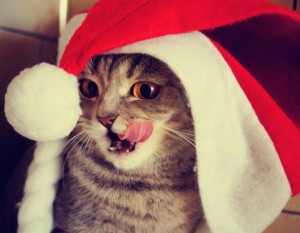 image_560601121624089003971